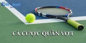 Bí quyết chinh phục cá cược quần vợt 8XBET cho người mới bắt đầu
