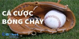 Các loại cá cược hấp dẫn tại cá cược bóng chày 8XBET