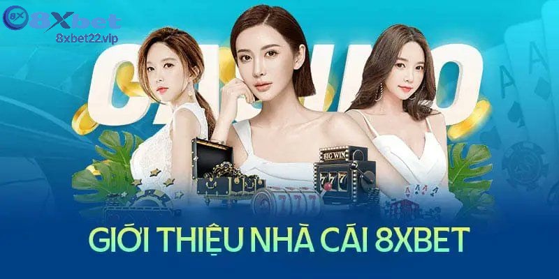 gioi thieu 8xbet thong tin tong quan ve nha cai Giới thiệu 8XBET thông tin tổng quan về nhà cái