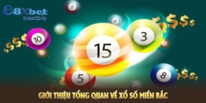 Giới thiệu xổ số miền bắc 1 phút
