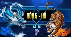Lưu ý quan trọng khi tham gia bài rồng hổ 8XBET